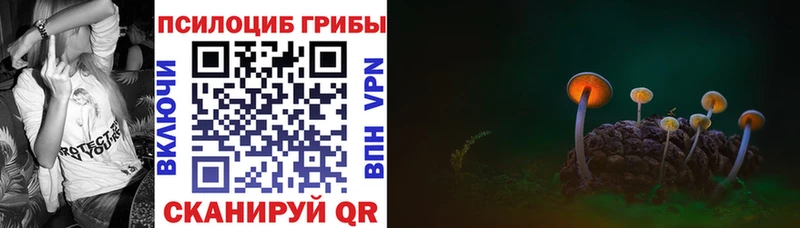 мега онион  Истра  Псилоцибиновые грибы Magic Shrooms 